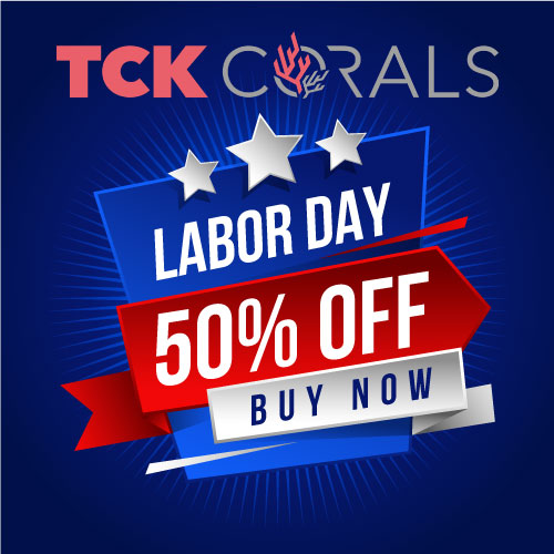 TCK-Labor-Day-Sale-50%-off.jpg
