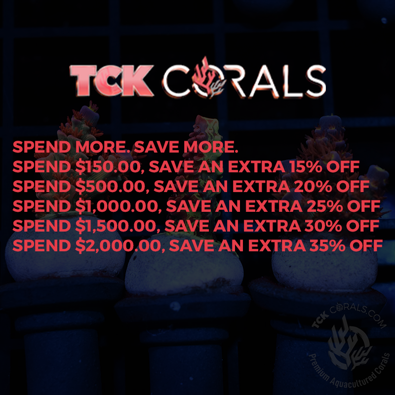 tck spend more save more.png
