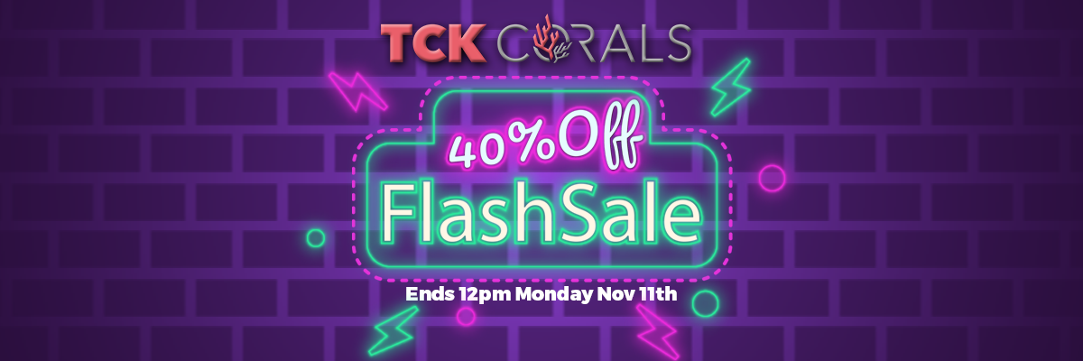 tck web banner nov flash sale.png