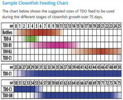tdo_clownfish_feeding_chart_ad057247-6d3a-4554-8f0f-0ce8abc60e65_200x@2x (1).png