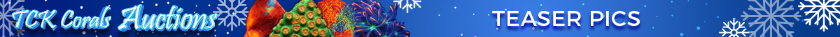 TEASERS.jpg