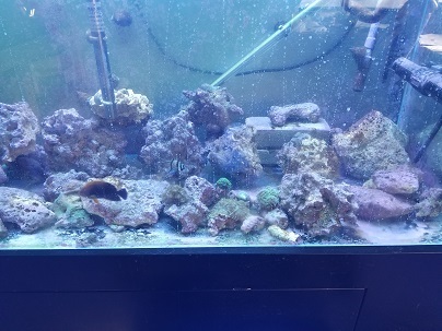 Temp Tank.jpg