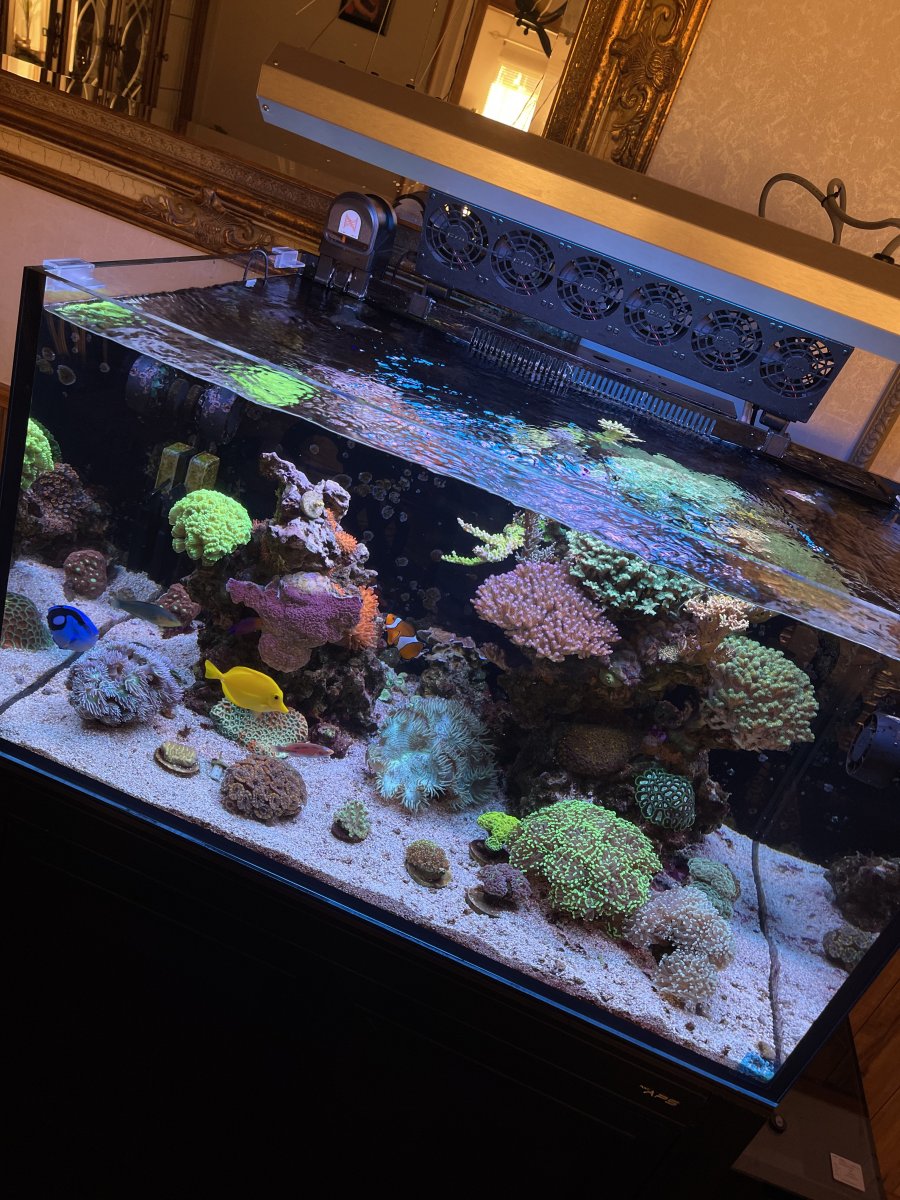tempImagenx5fK2.jpg