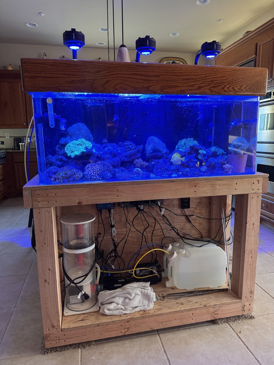 temporary tank in kitchen.JPG