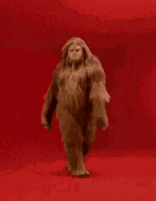 tenor (3).gif