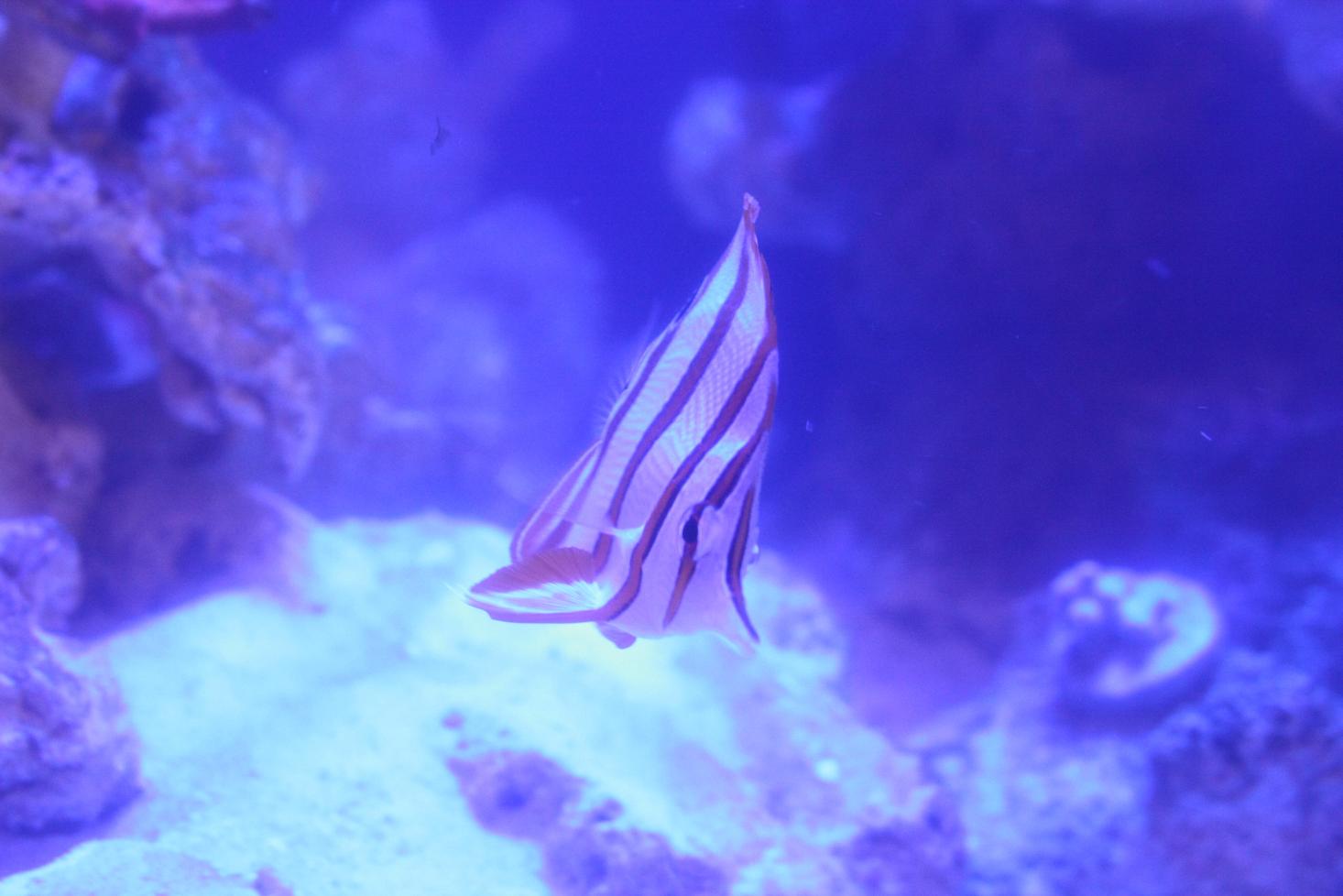 test 004.jpg