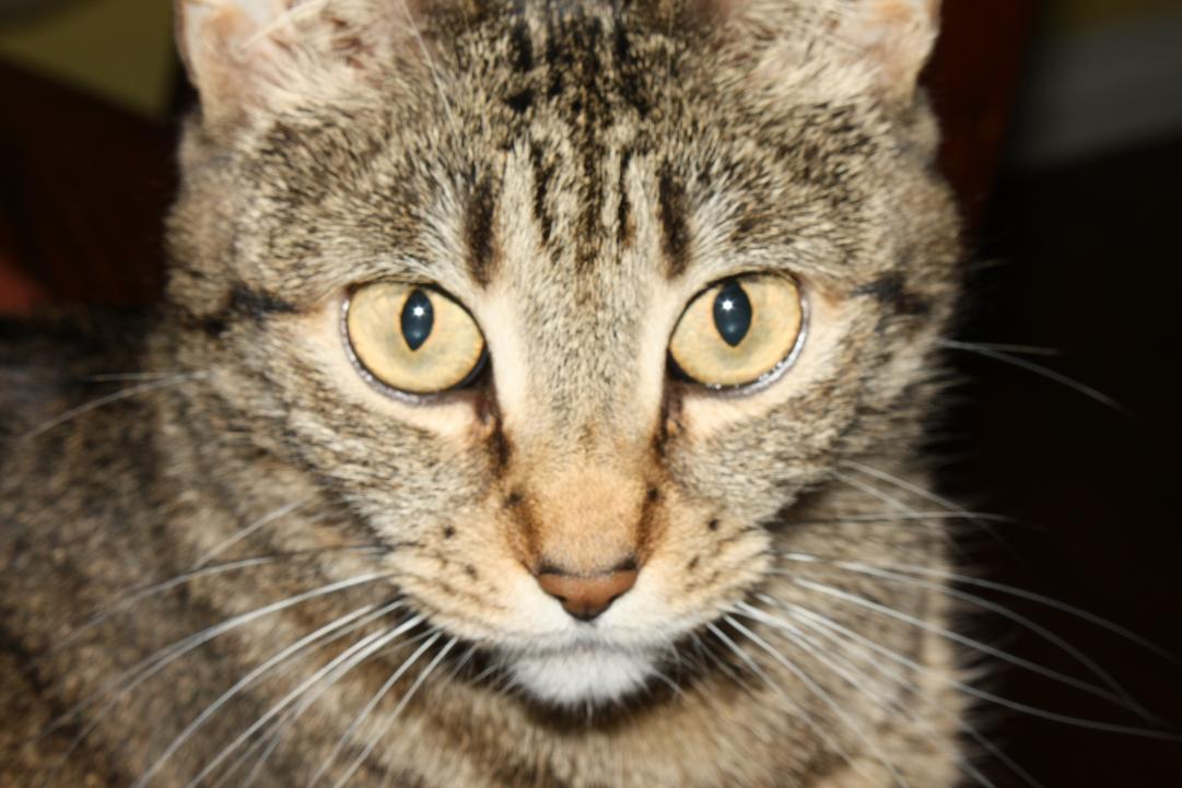 test 053.jpg