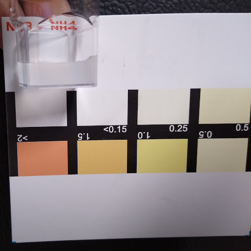 Test Results.jpg