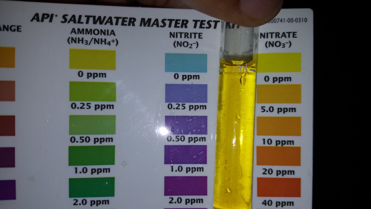 test3.jpg