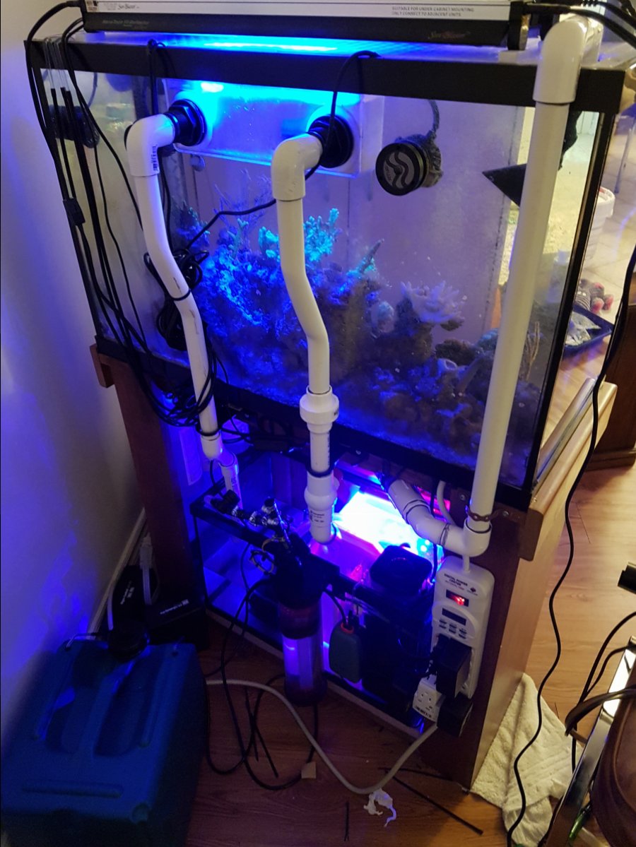Testing sump.jpg