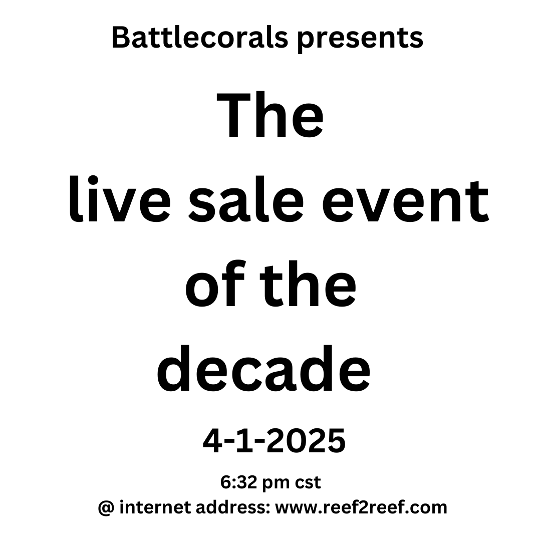 The live sale event of the decade.png