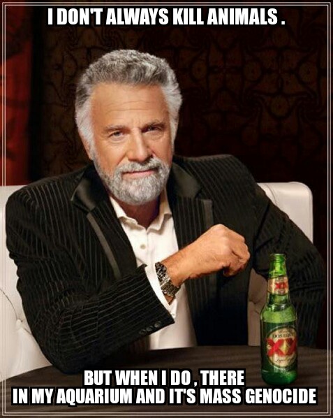 The Most Interesting Man In The World.jpg