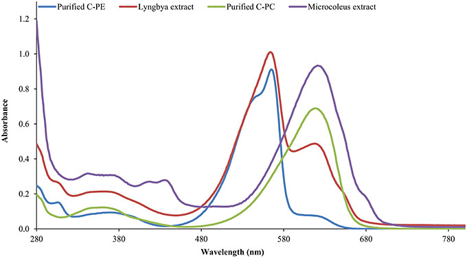 The-UV-visible-absorbance-spectra-of-cyanobacterial-extracts-and-purified-pigments.png