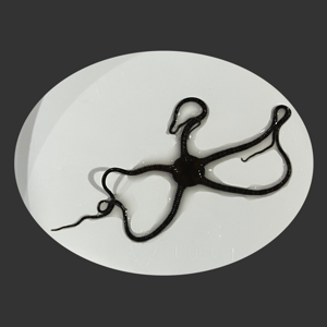 thread Serpent sm.png
