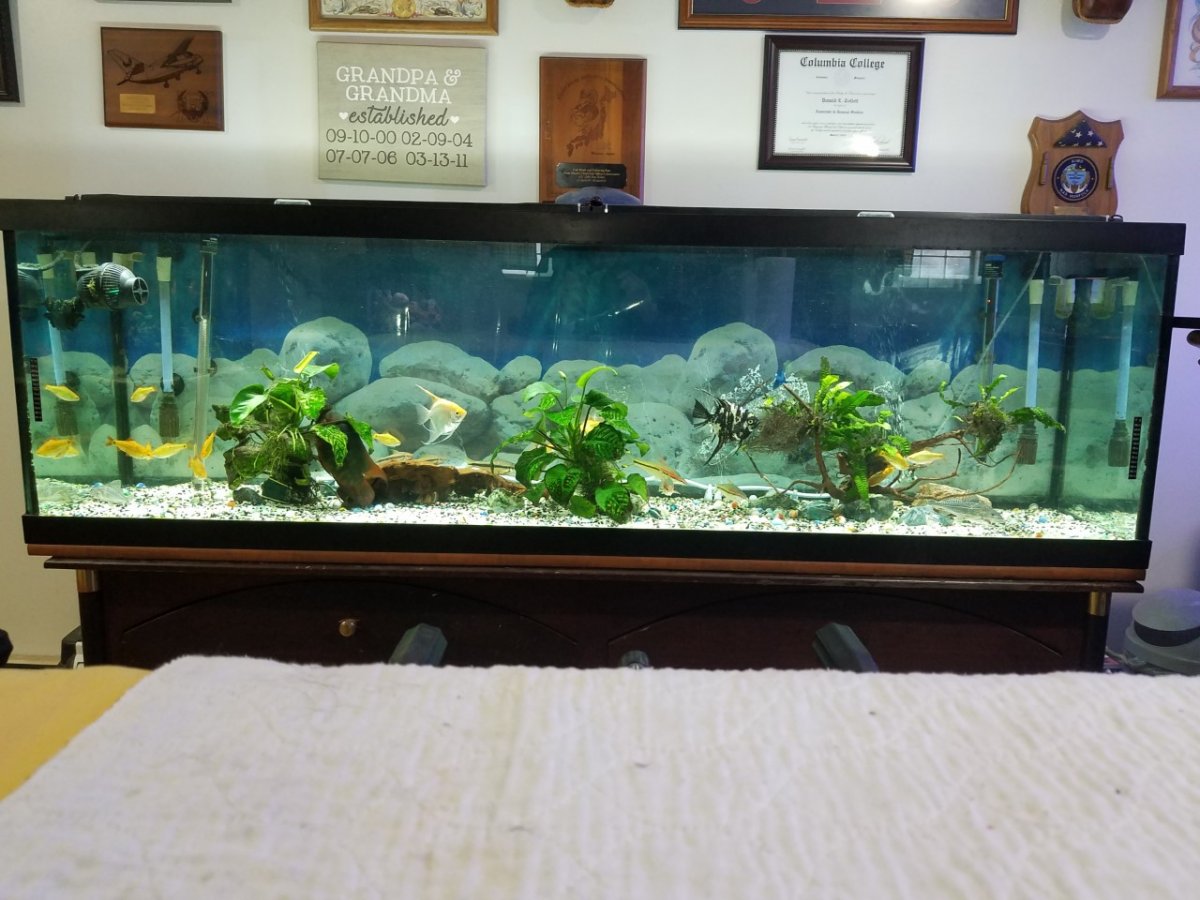thumbnail_20190304_172227.jpg