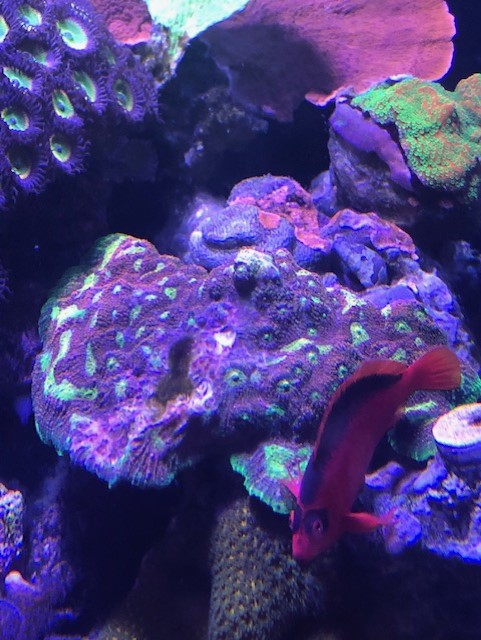 thumbnail_IMG_6194.jpeg