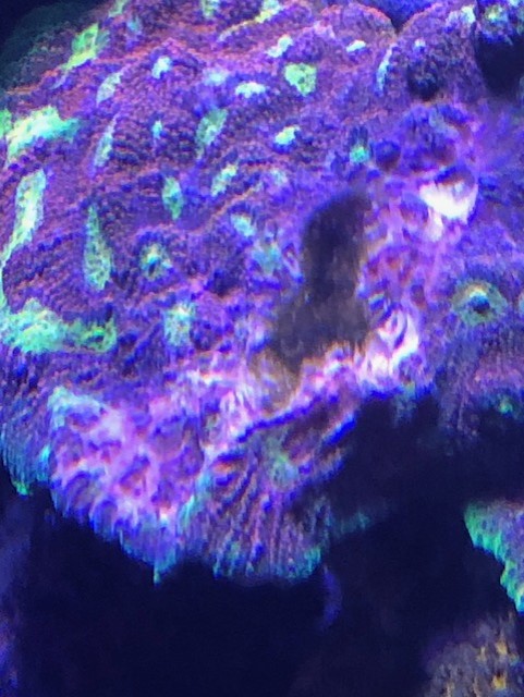 thumbnail_IMG_6195.jpeg