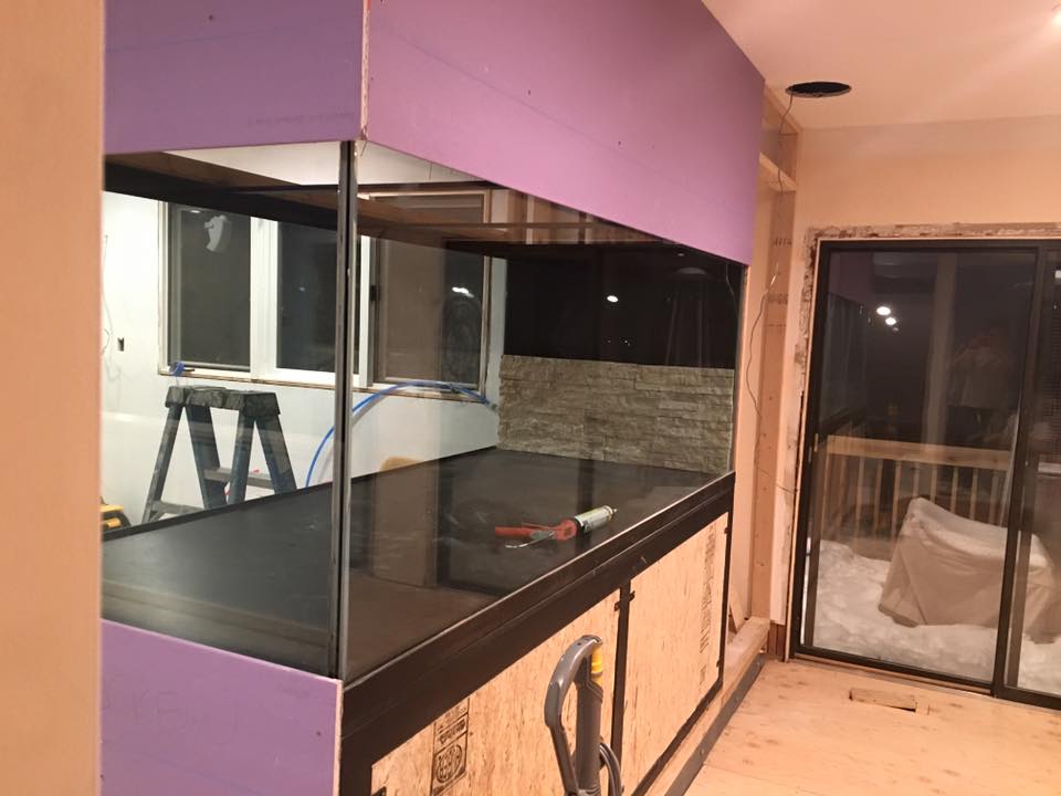 tiling tank wall.jpg