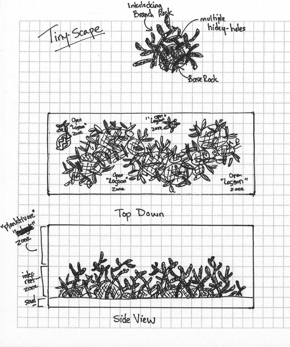 Tiny Scape.jpg
