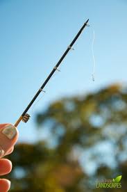 tinyrod.jpg