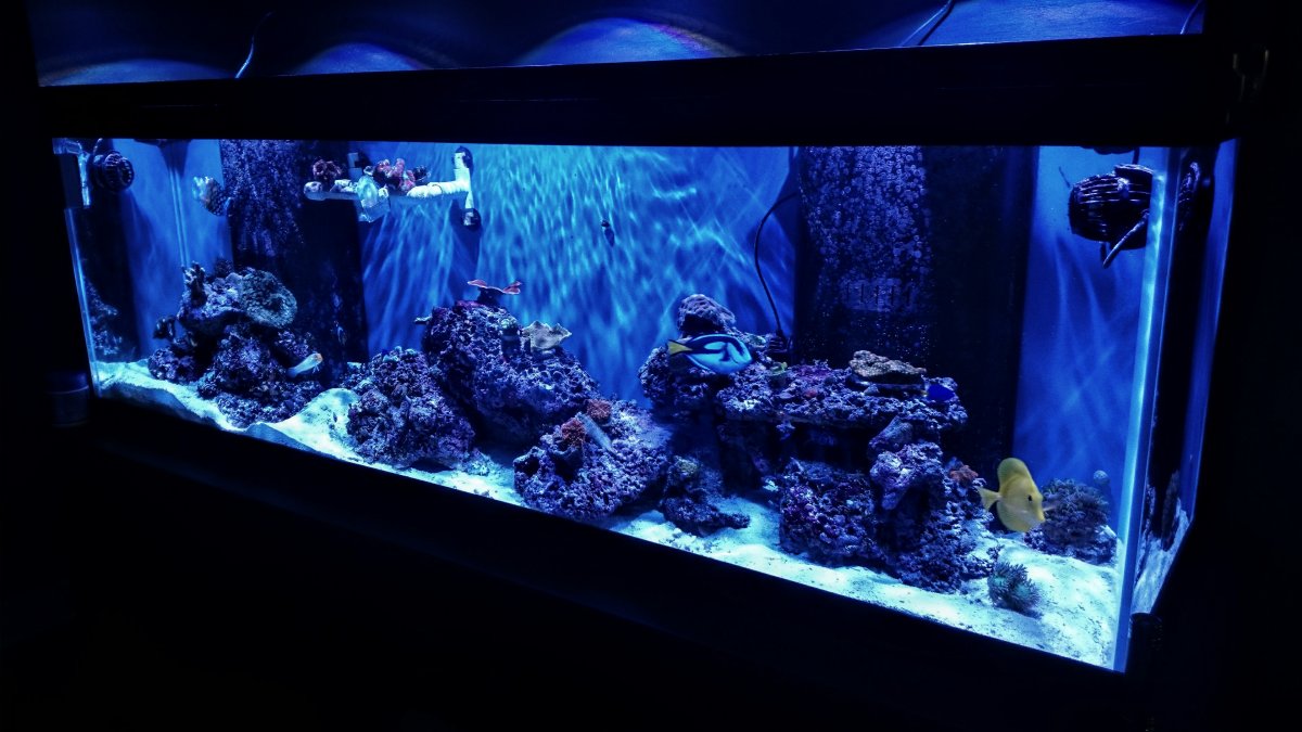 tmp_DSC_0432819625741.JPG