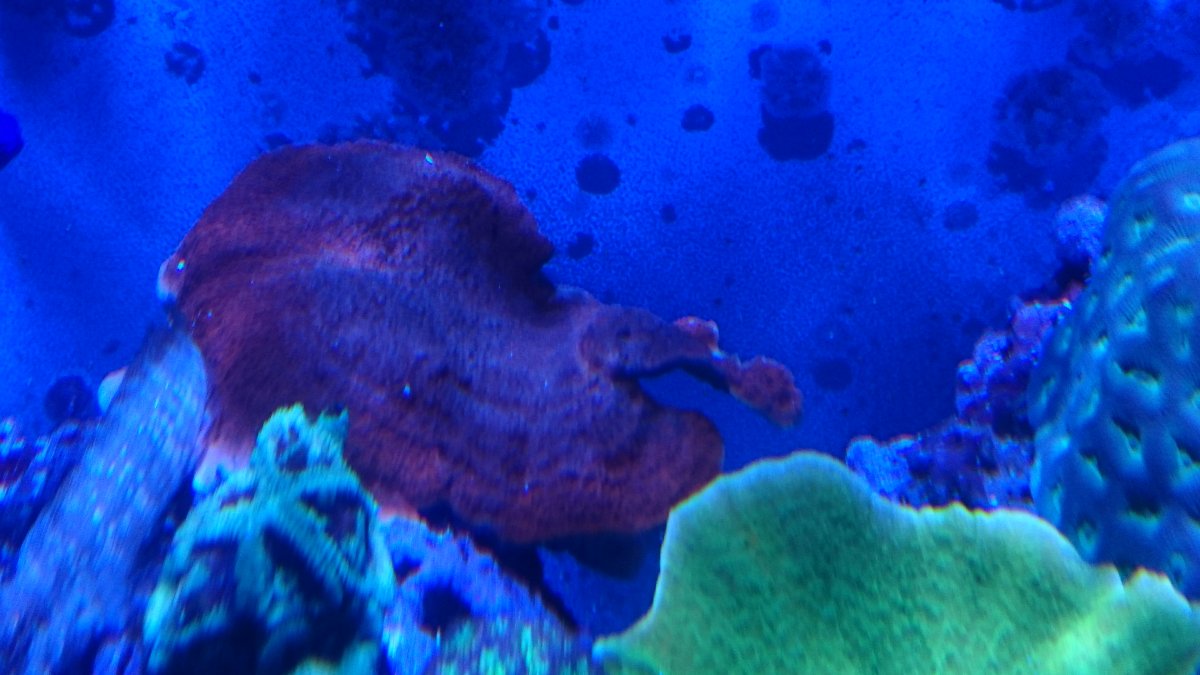 tmp_DSC_0601385032792.JPG