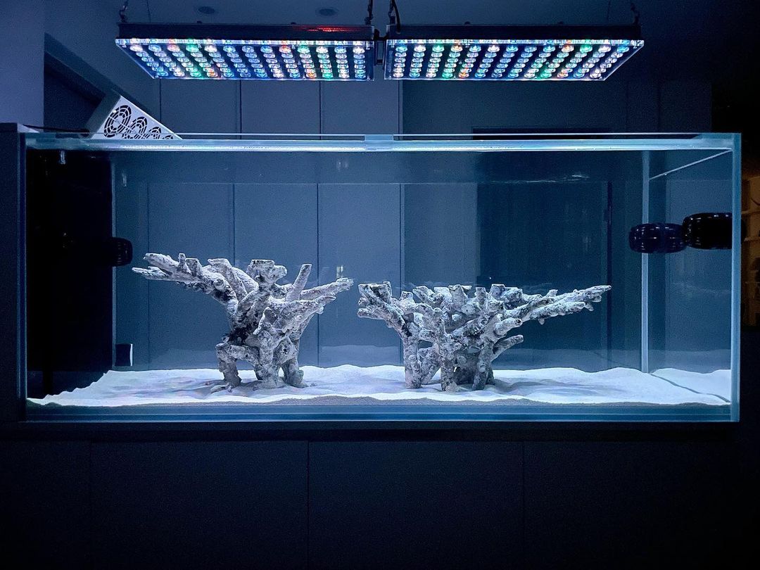 Intermediate Topic - Most beautiful aquascape reef tanks – Atlantik iCon  LED lighting