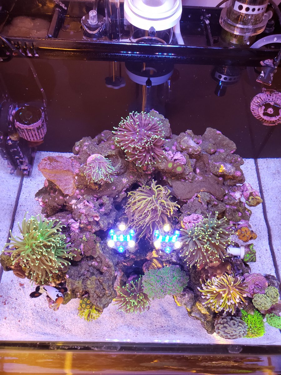 Top Down.jpg