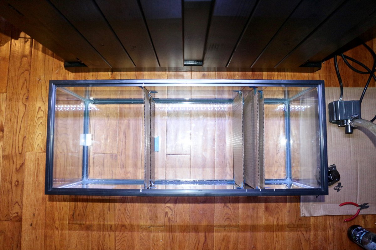 top view 2.jpg