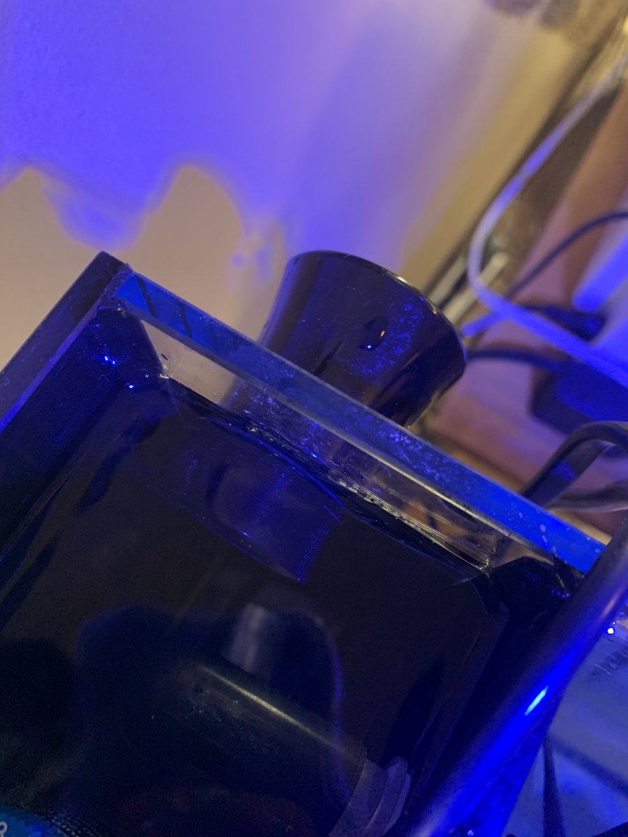 top view.jpg