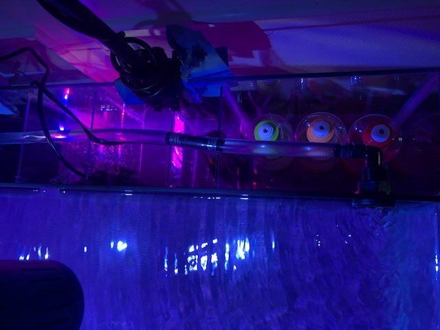 Top View.jpg