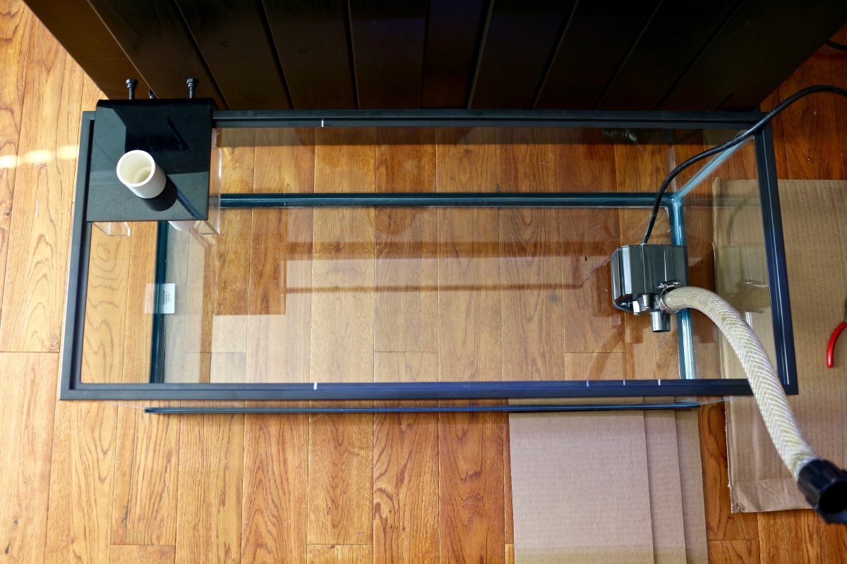 top view .jpg