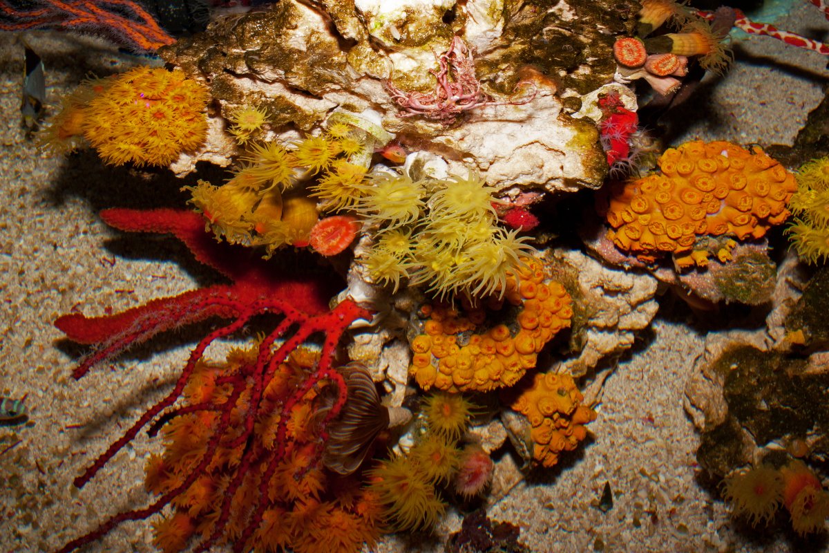top view2.jpg