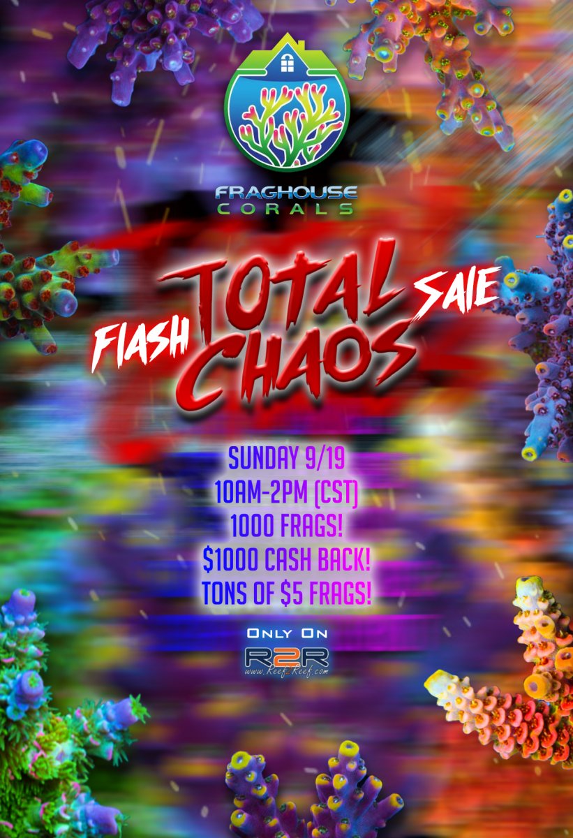 Total Chaos live sale.jpg