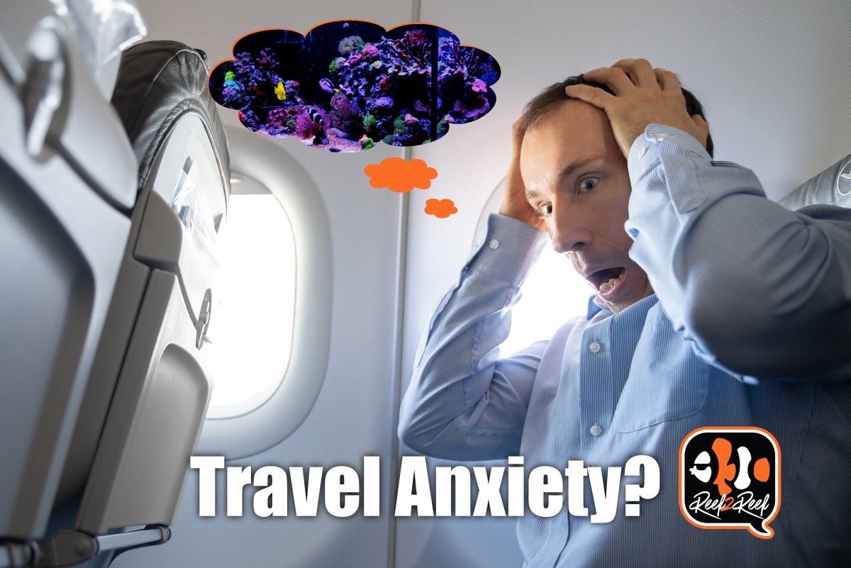 travel anxiety.jpg