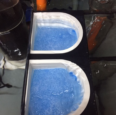 tray002.jpg