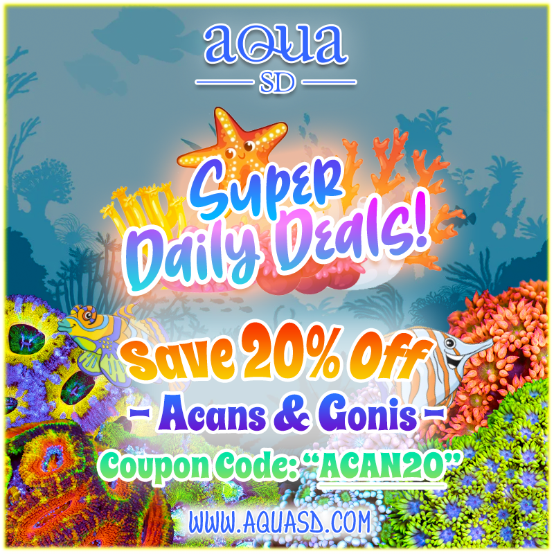 Tuesday-Daily-Acan-Gonis.png