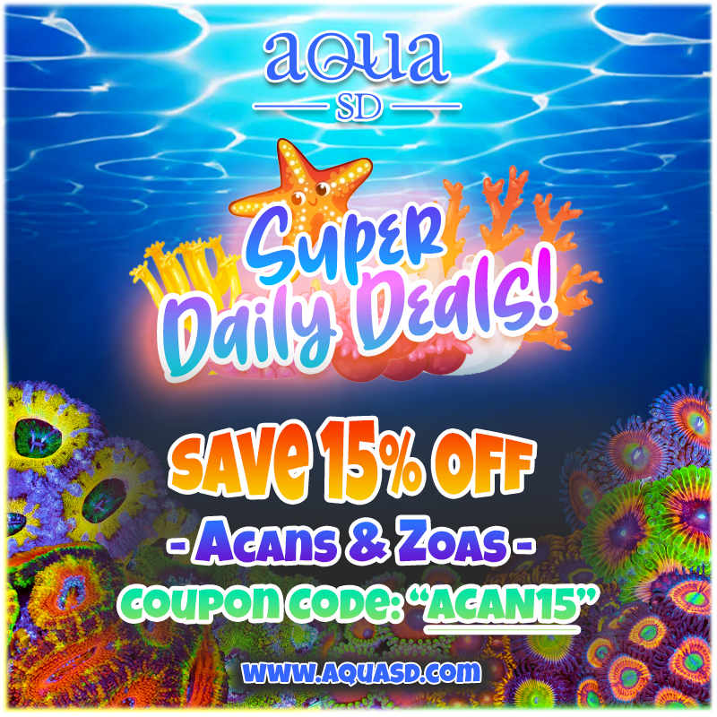 Tuesday-Daily-Acans-Zoas.png