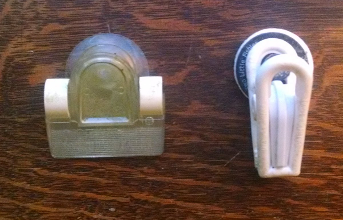 Two Algae Clips.jpg