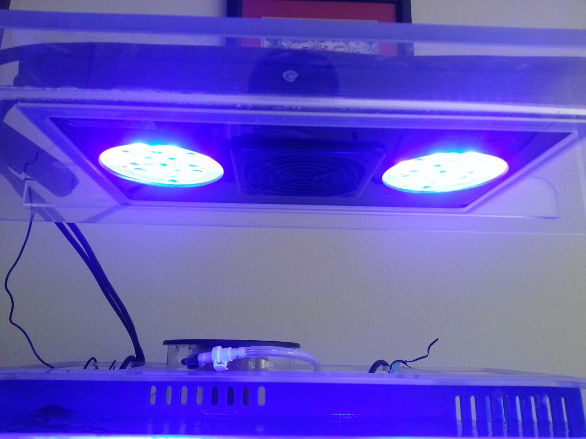 under view.jpg