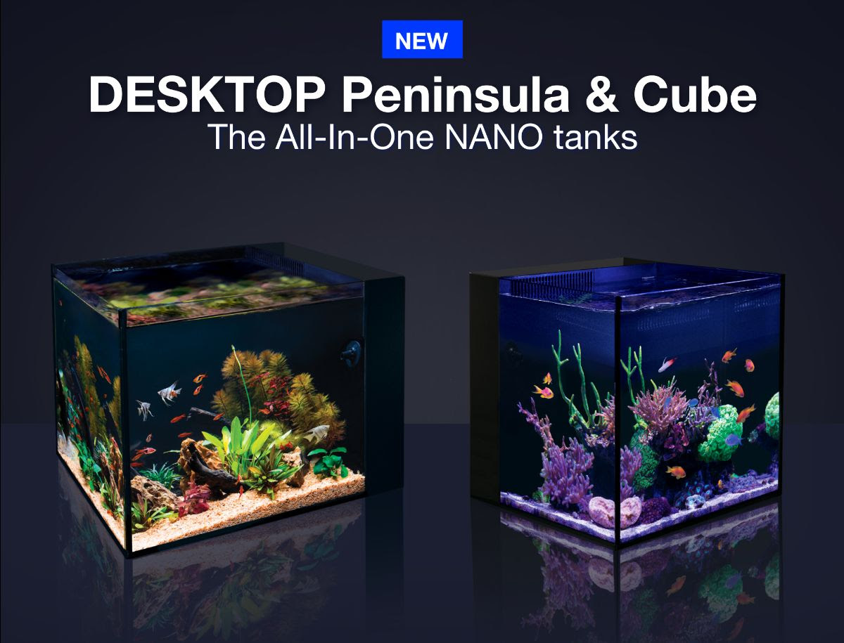 All in one marine aquarium on sale