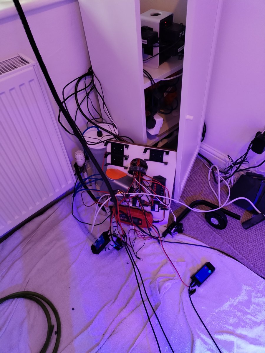 Untangle Old Electics.jpg
