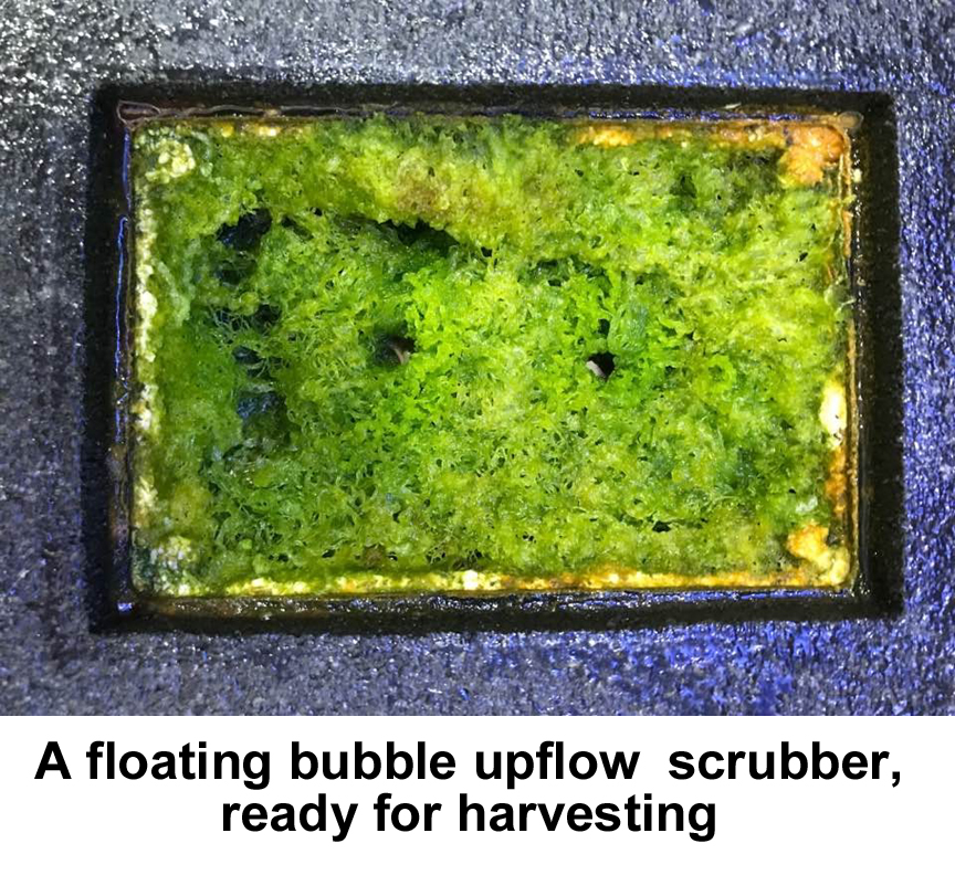 Something Fishy :: Aquarium Supplies :: Filters, Reactors & Filter Media ::  Turf Scrubbers :: Turf Scrubber Pro Small, up to 100 gallons