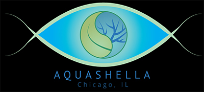 Aquashella Festival Official Floor Plan Just Released! | REEF2REEF ...
