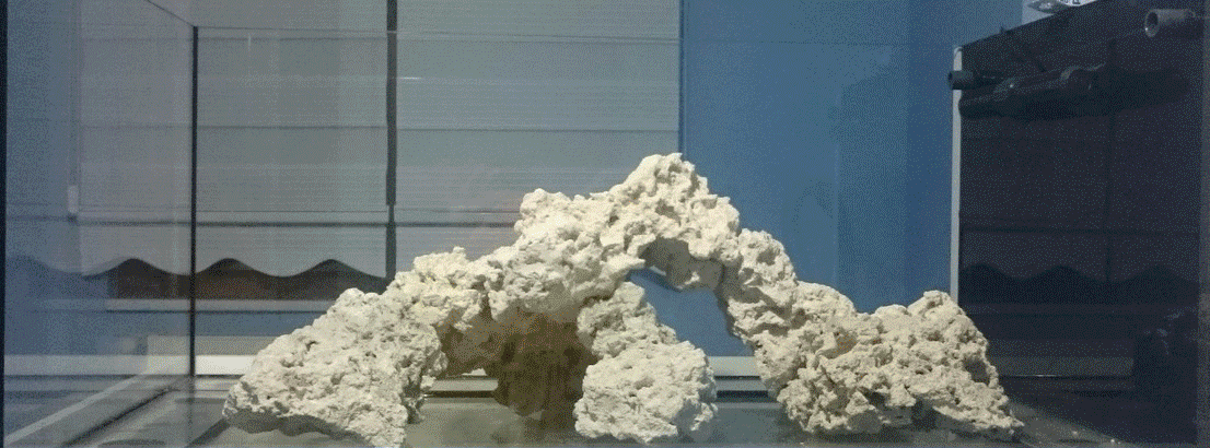 Untitled-8.gif