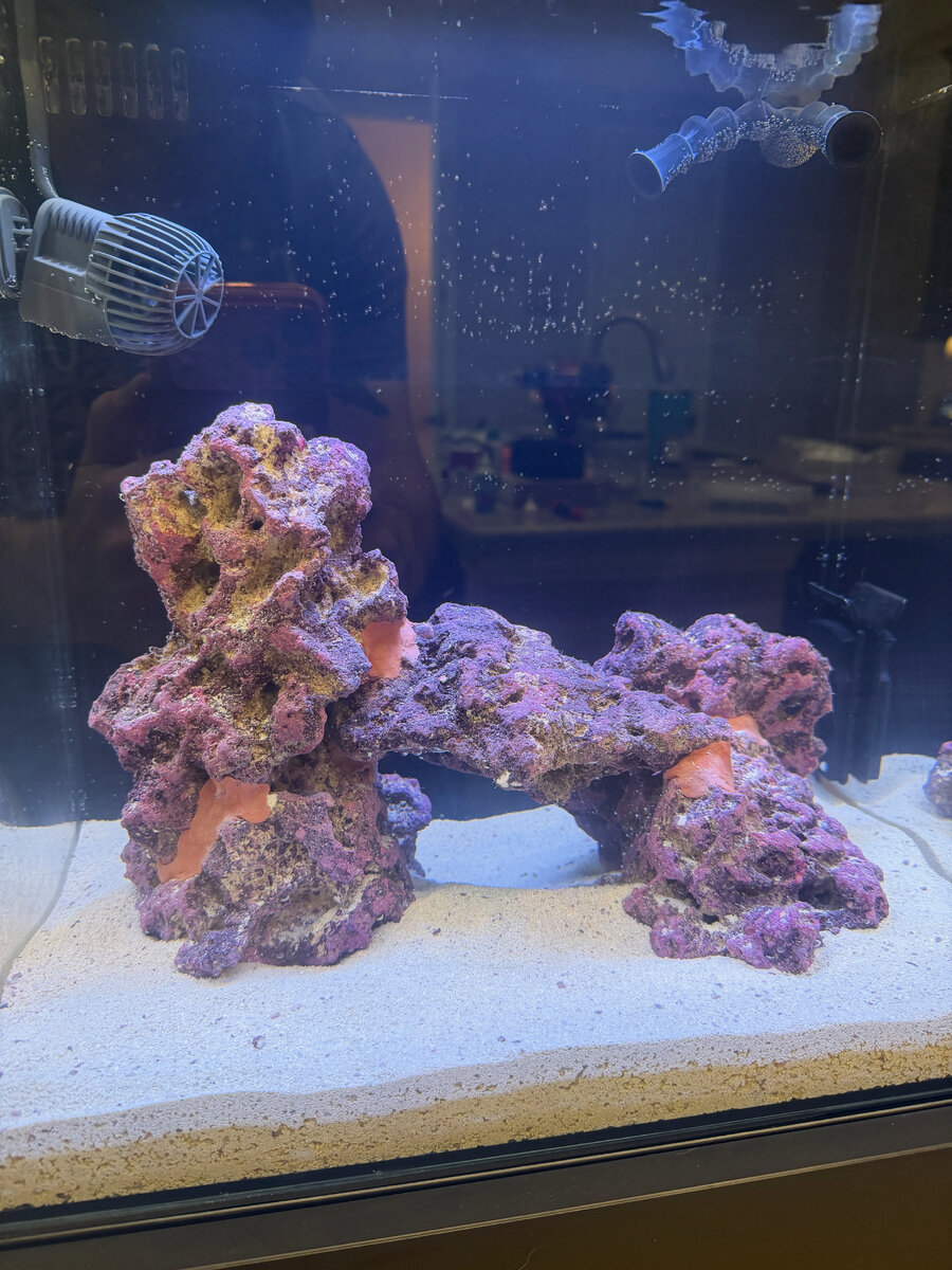 Updated Rock.jpeg