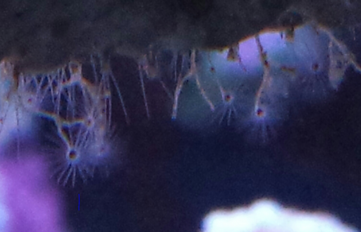 upload_2015-9-22_7-20-31.png