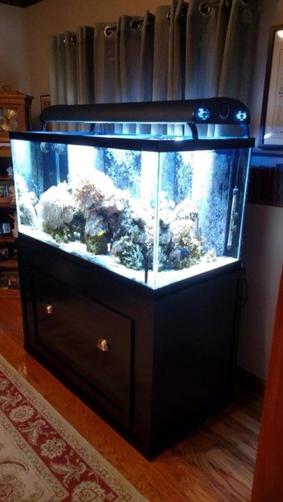 120 gallon aquarium petco