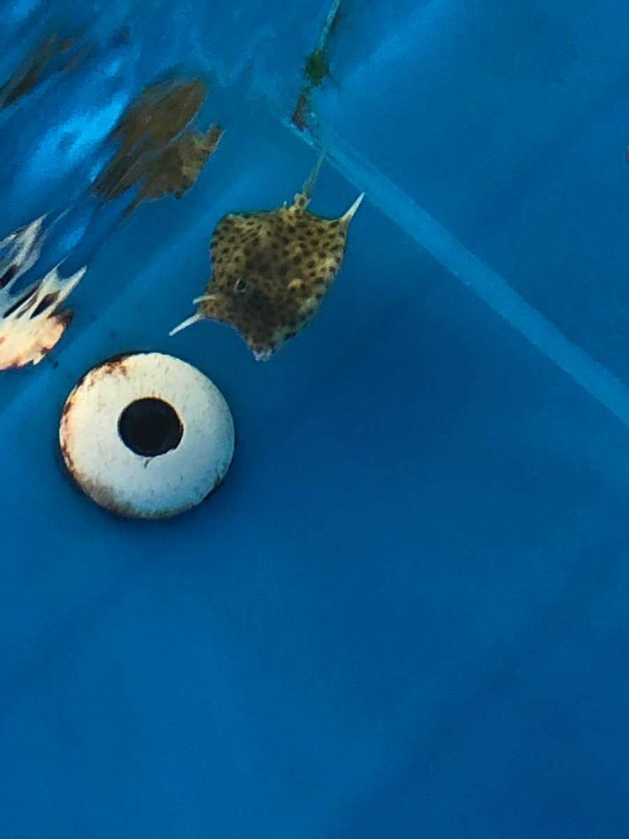 upload_2019-1-4_16-50-3.jpeg