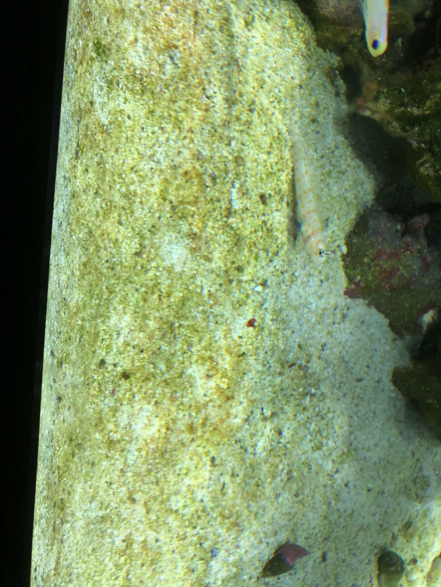 upload_2019-3-14_19-55-13.jpeg